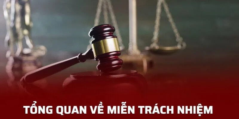 Miễn Trách Nhiệm 1 Tổng quan sơ lược về miễn trách nhiệm